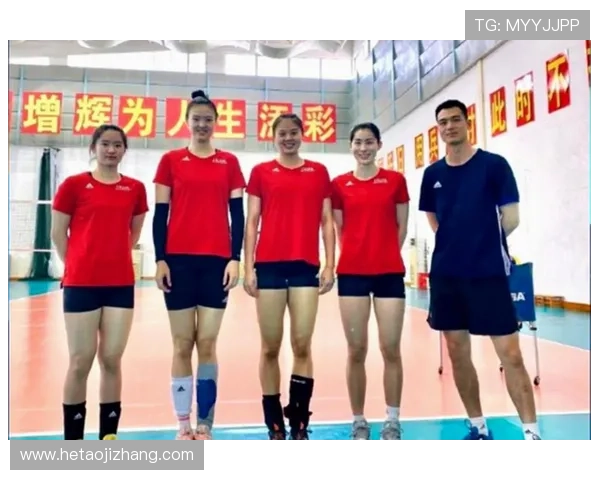 南京排球队实力强劲排球个人能力排行榜揭晓第5名荣誉